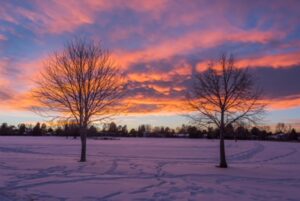 Snow-covered park with bare trees at sunset